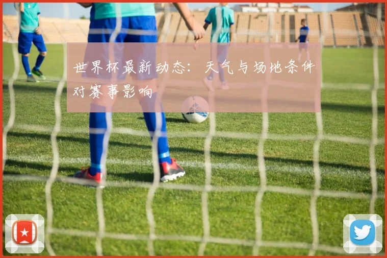世界杯最新动态:天气与场地条件对赛事影响