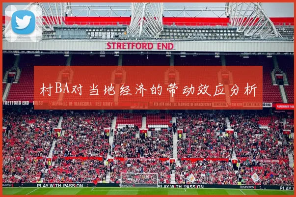村BA对当地经济的带动效应分析