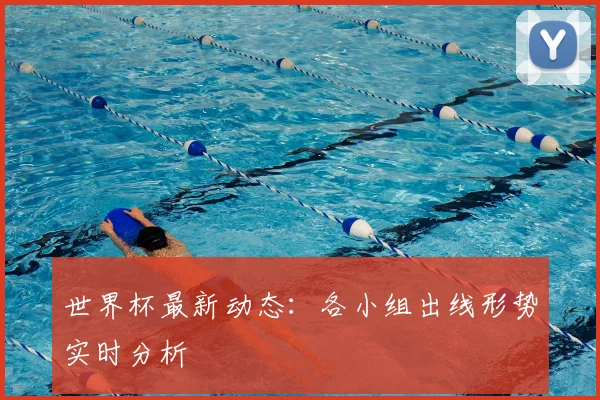 世界杯最新动态:各小组出线形势实时分析