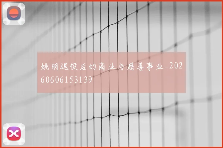 姚明退役后的商业与慈善事业_20260606153139