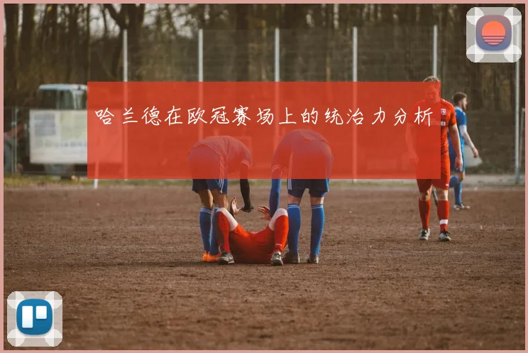 哈兰德在欧冠赛场上的统治力分析
