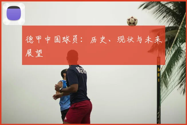 德甲中国球员:历史、现状与未来展望