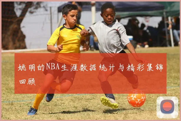 姚明的NBA生涯数据统计与精彩集锦回顾