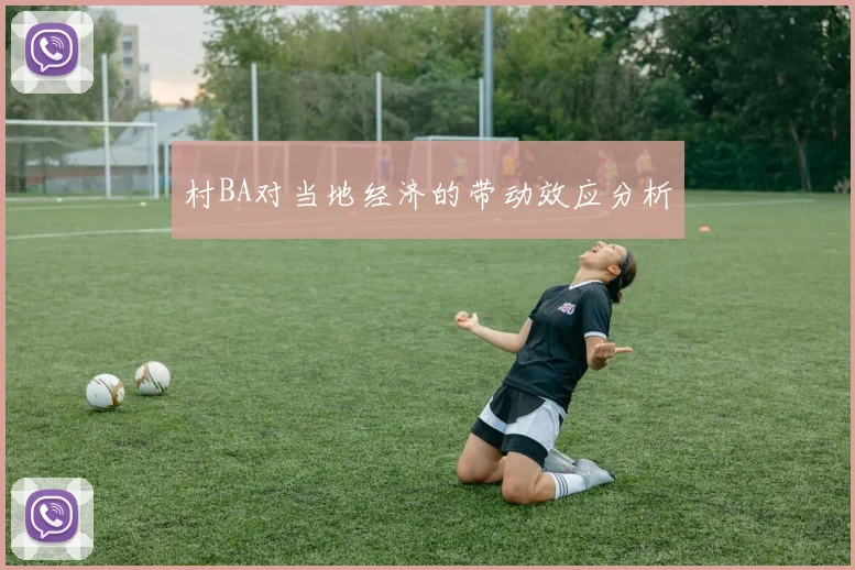 村BA对当地经济的带动效应分析