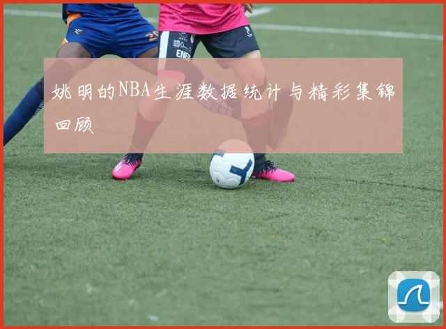 姚明的NBA生涯数据统计与精彩集锦回顾